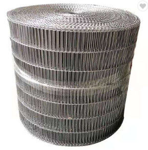 qualità  Customized Metal Wire Stainless Steel Mesh Belt Conveyor Chain Fabbrica
