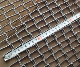 Acciaio inossidabile Mesh Belt Wire Conveyor di BACCANO JIS con il singolo bordo del ciclo
