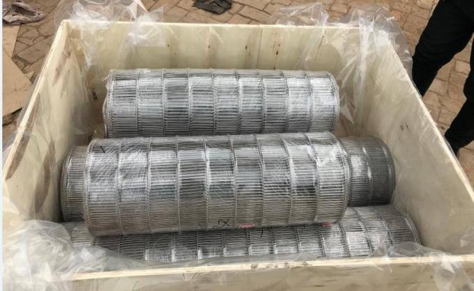 Montaggio Conveyable Mesh Wire del nastro trasportatore di acciaio inossidabile di SUS316L 5