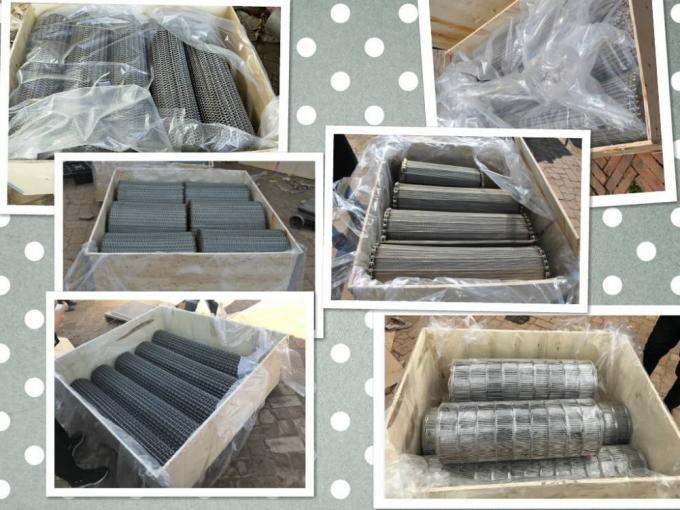 Montaggio Conveyable Mesh Wire del nastro trasportatore di acciaio inossidabile di SUS316L 6