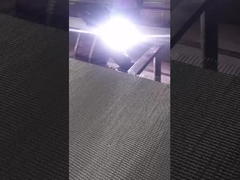 Rete metallica ad alta temperatura di trattamento termico di resistenza